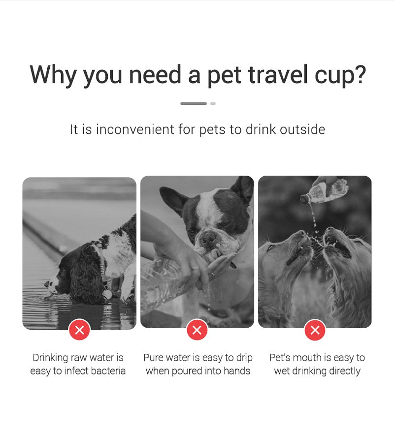 Portable Pet Water Bottle – Leakproof Travel Bowl