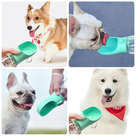 Portable Pet Water Bottle – Leakproof Travel Bowl